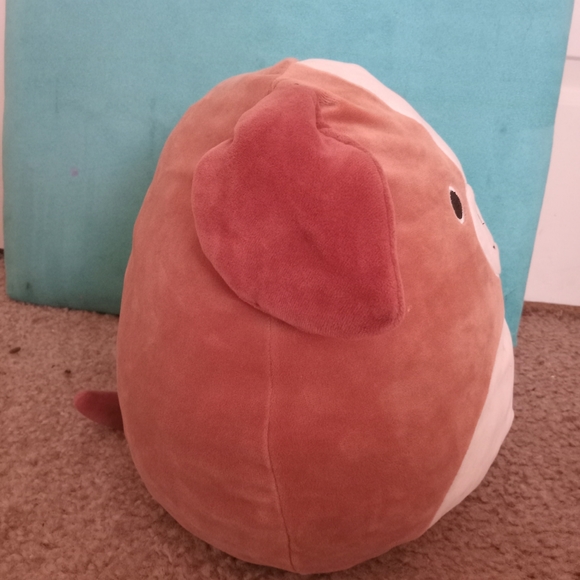 A cute squishmallow🐶 - Picture 3 of 5